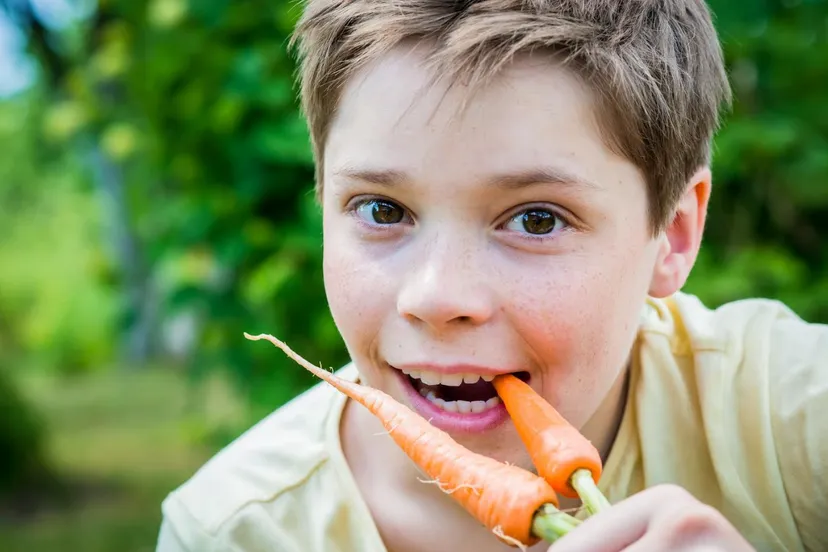 schermafbeelding 2021 01 08 om 101858