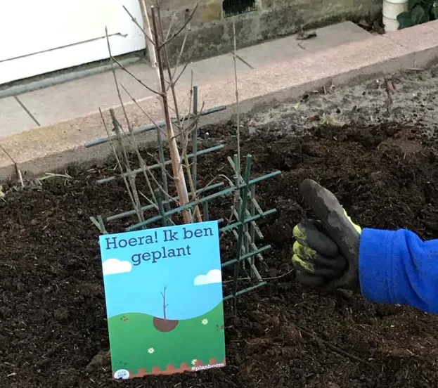 schermafbeelding 2021 02 02 om 103929