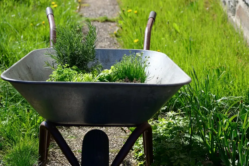 schermafbeelding 2021 07 05 om 094536