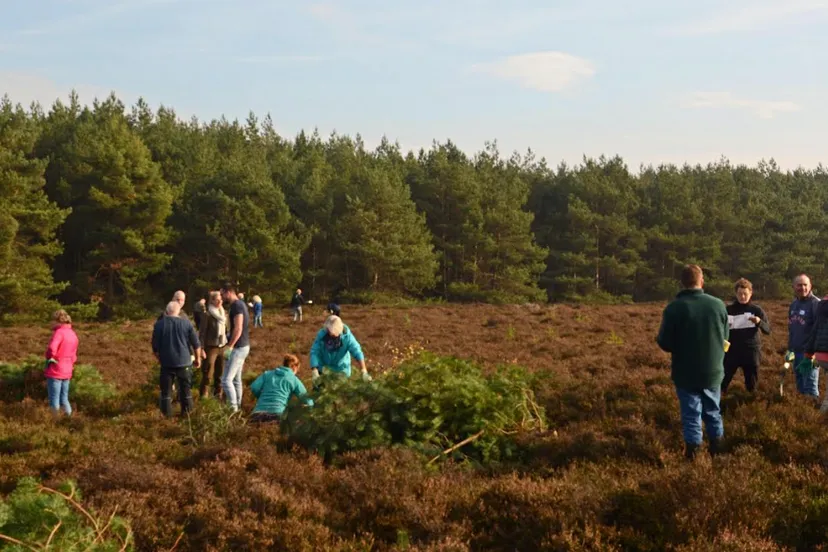 schermafbeelding 2021 10 17 om 121522