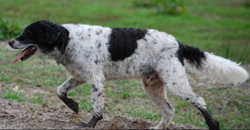 schermafbeelding 2021 11 06 om 141604