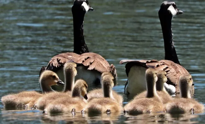 schermafbeelding 2022 02 03 om 222312