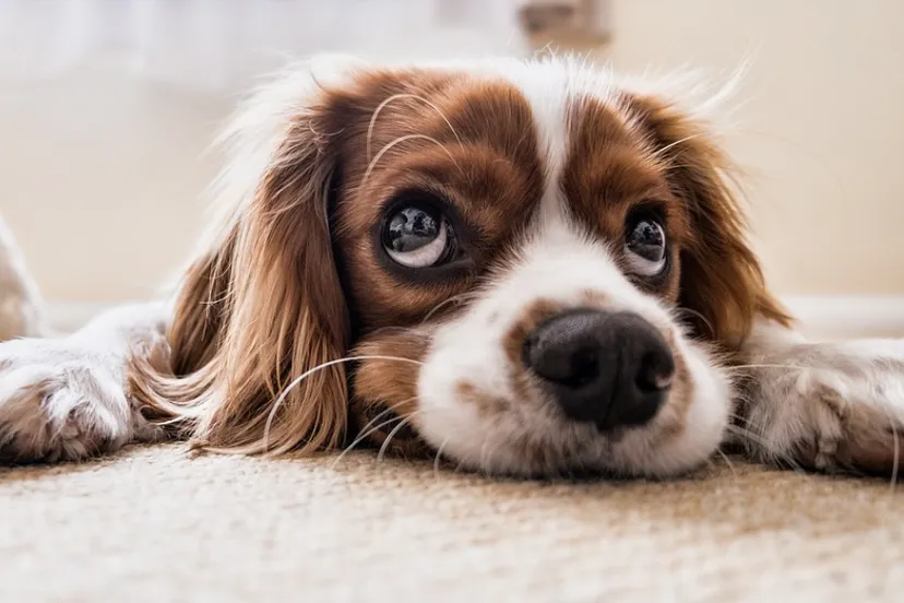 schermafbeelding 2022 06 27 om 100430