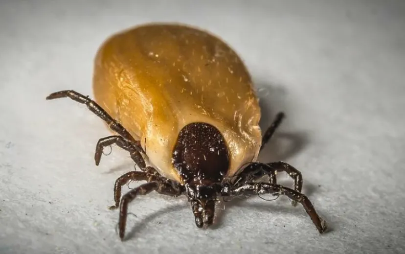 schermafbeelding 2022 07 11 om 085632