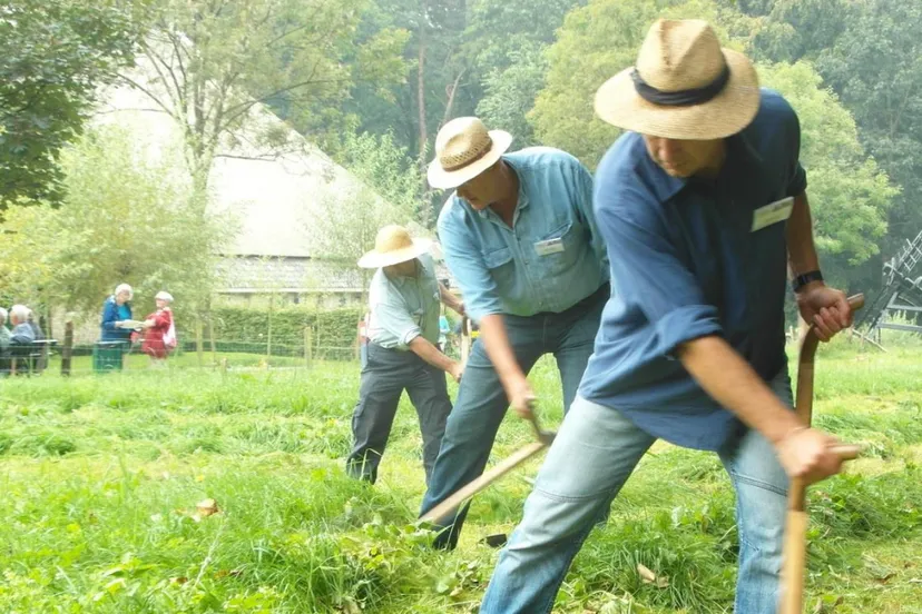 schermafbeelding 2022 08 15 om 083535