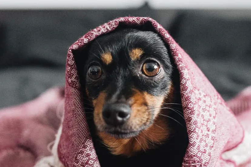 schermafbeelding 2022 09 15 om 140211