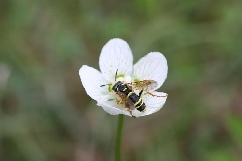 schermafbeelding 2022 10 22 om 063817