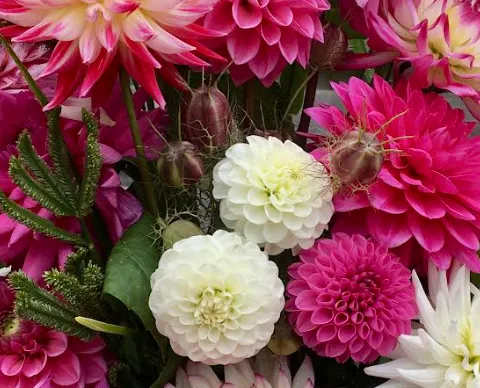 schermafbeelding 2023 08 14 213249