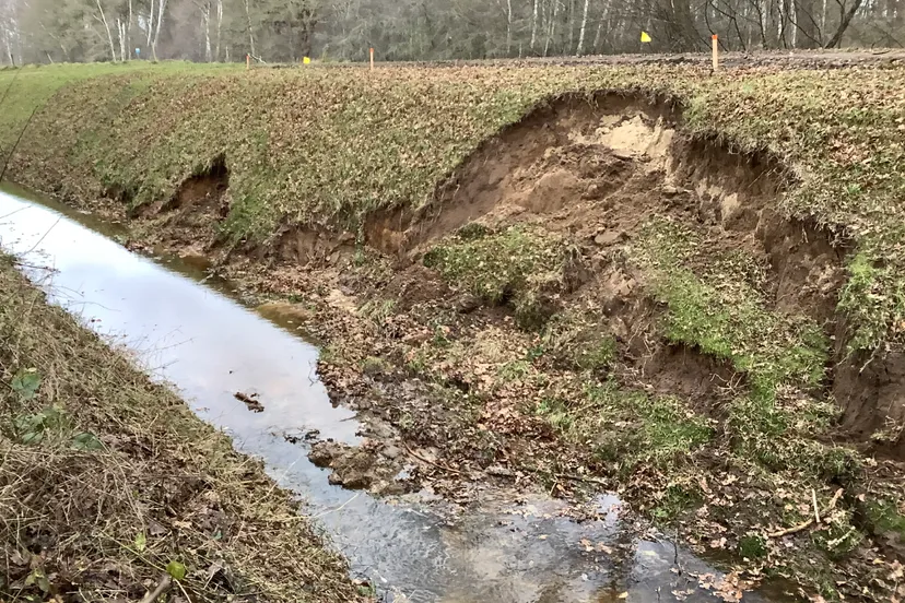 schermafbeelding 2024 01 04 212347