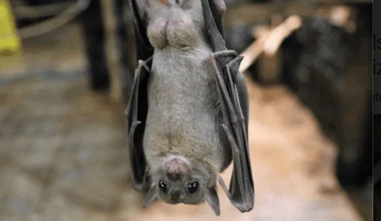 schermafbeelding 2024 03 11 194736