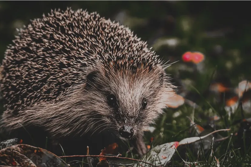 schermafbeelding 2024 03 14 074055