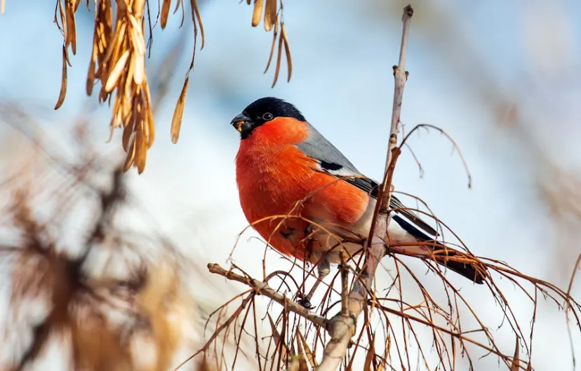 schermafbeelding 2024 03 31 211909