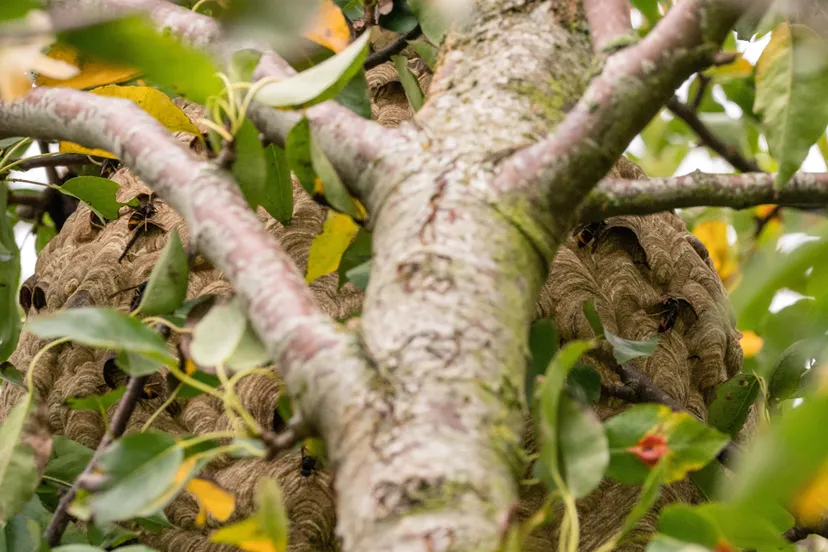 schermafbeelding 2024 04 08 115212