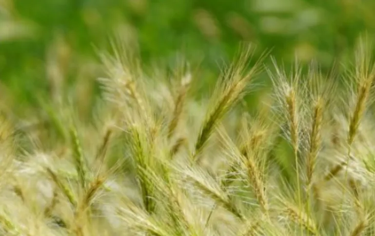 schermafbeelding 2024 05 13 160109