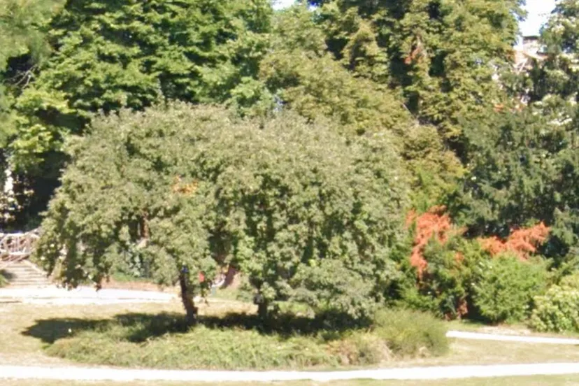 schermafbeelding 2024 06 30 100244