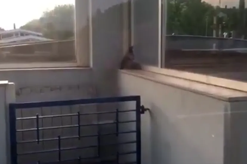 schermafdruk 2018 05 12 122809