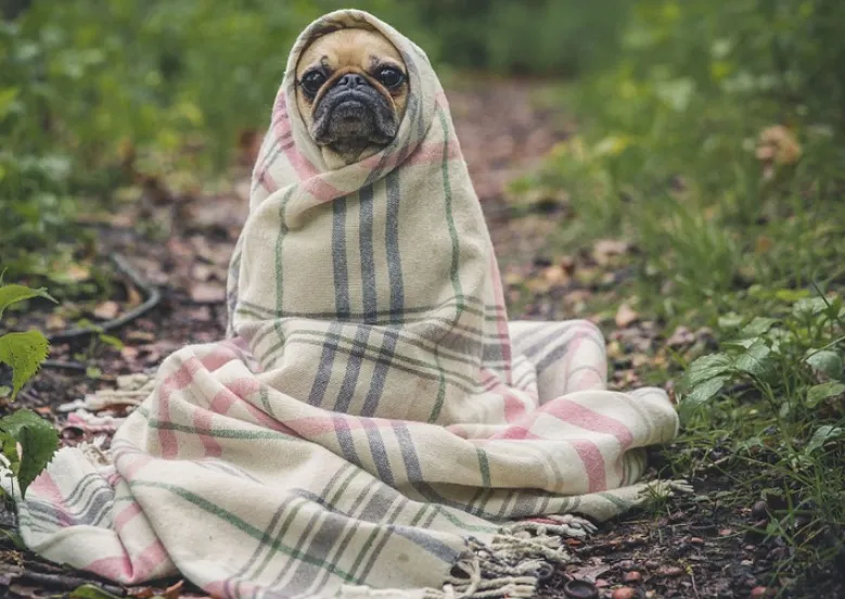 schermafdruk 2018 08 26 100703