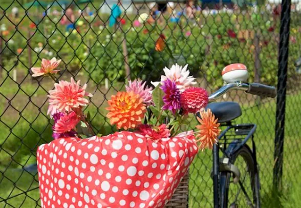 schermafdruk 2018 08 26 110651