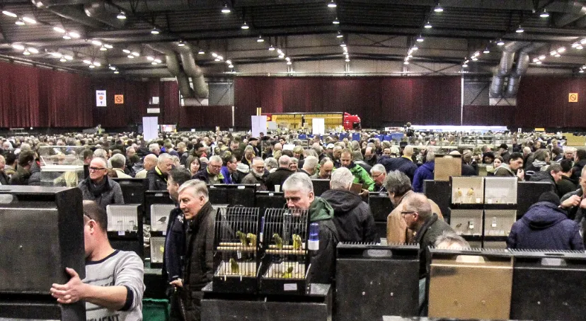 schermafdruk 2018 11 12 081621