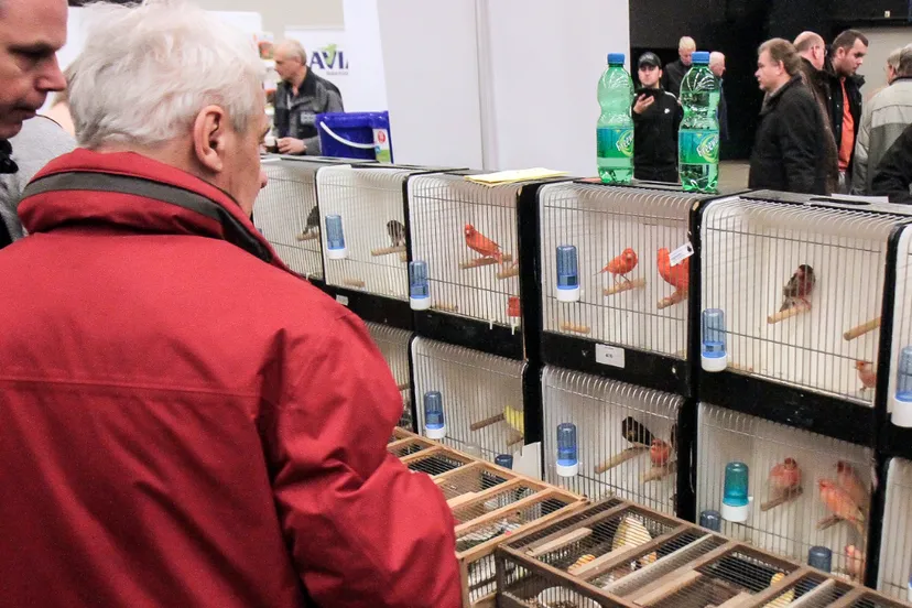 schermafdruk 2019 02 20 090110