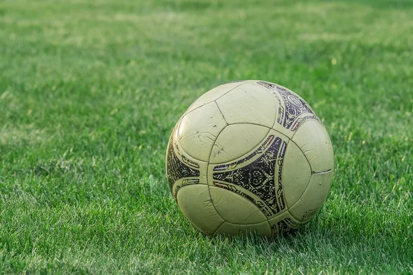 sv zwolle voetbal