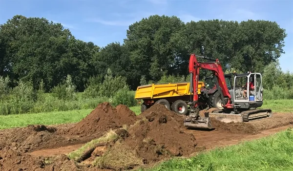 verplaatsen kievitsbloemen
