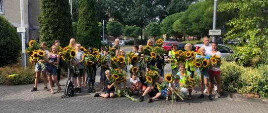 zonnebloemen