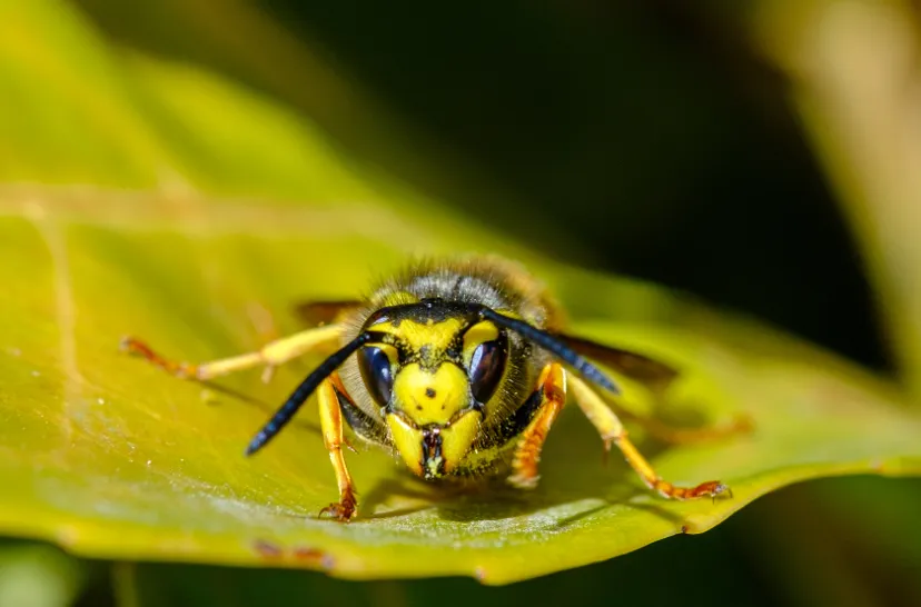 schermafbeelding 2024 08 30 103858