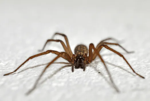 schermafbeelding 2024 09 11 163328