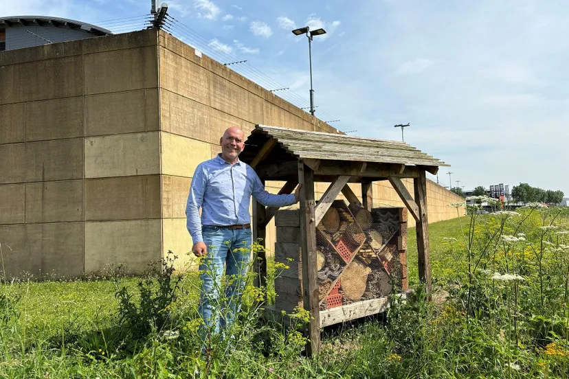 raymond van oers bij het insectenhotel direct naast de buitenmuur van pi zwolle