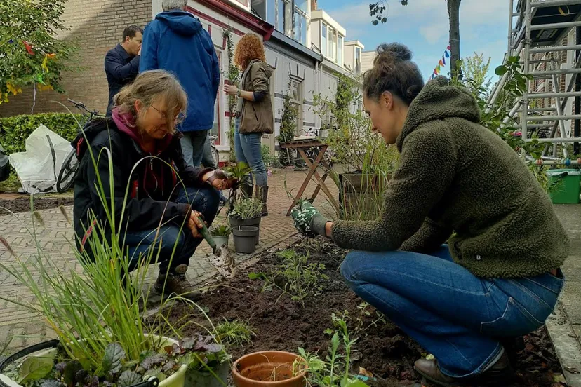 schermafbeelding 2024 10 01 094803