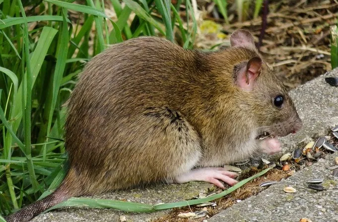 schermafbeelding 2024 10 02 091429