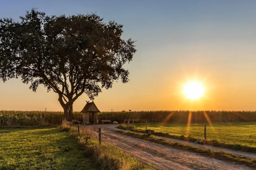 schermafbeelding 2024 10 22 095614