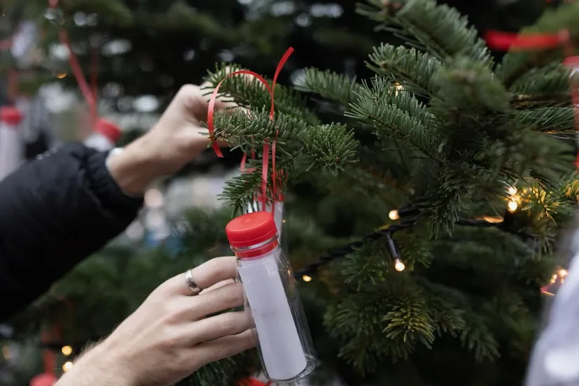 schermafbeelding 2024 12 02 120837