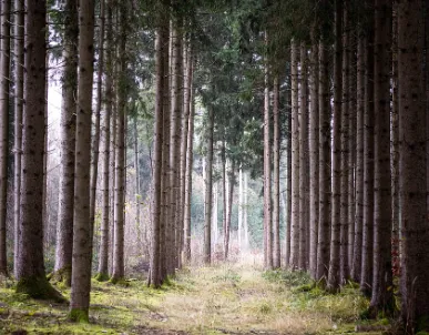 schermafbeelding 2024 12 15 094631