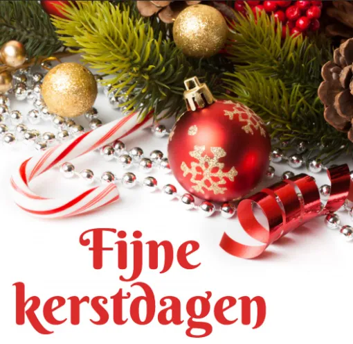 schermafbeelding 2024 12 24 124604