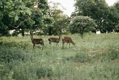 schermafbeelding 2025 01 03 095732