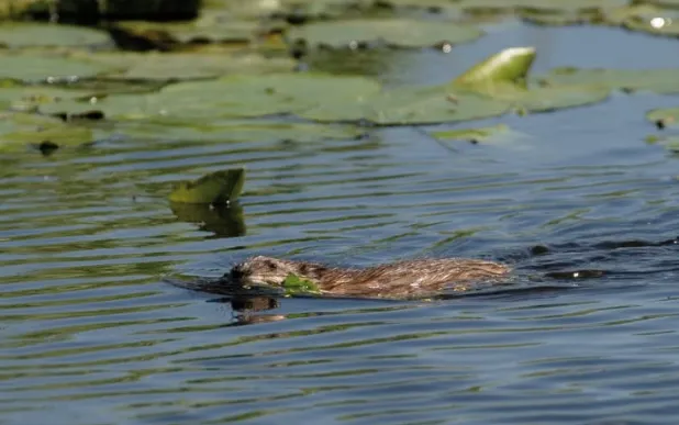 schermafbeelding 2025 01 22 095242