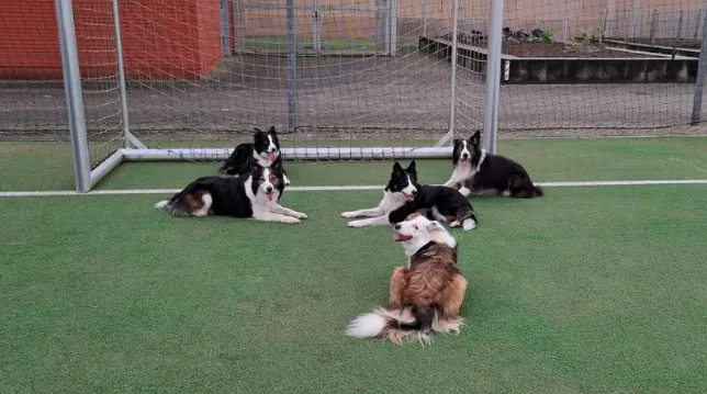 schermafbeelding 2025 02 12 094709