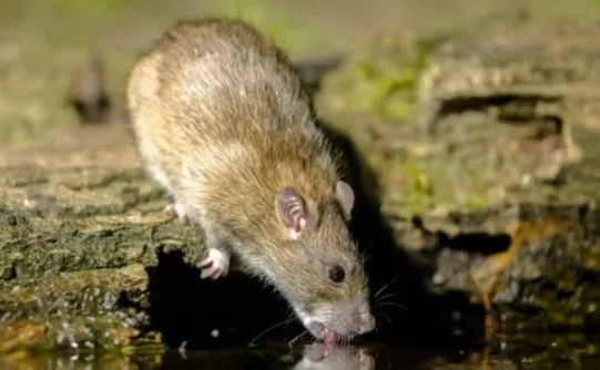 schermafbeelding 2025 02 18 090524