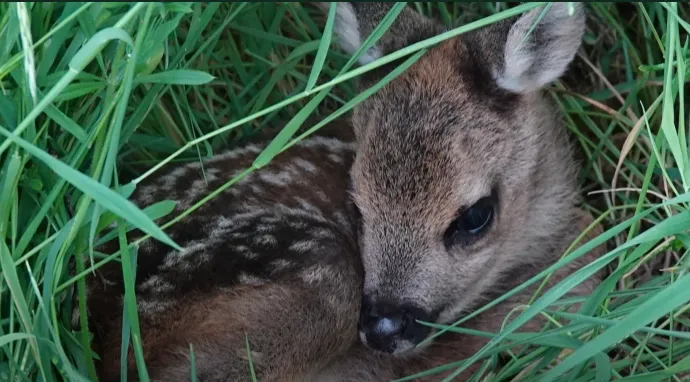 schermafbeelding 2025 02 28 140822