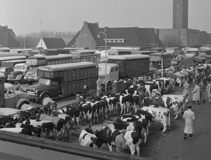 schermafbeelding 2025 03 05 095346