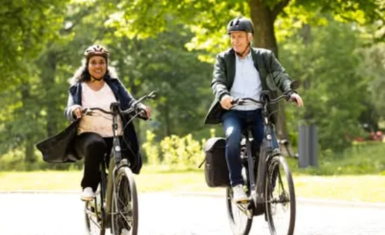 schermafbeelding 2025 03 12 100100