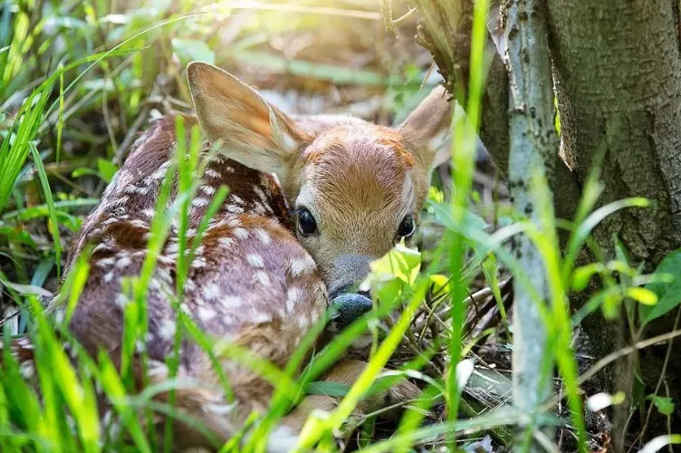 schermafbeelding 2025 03 16 110928