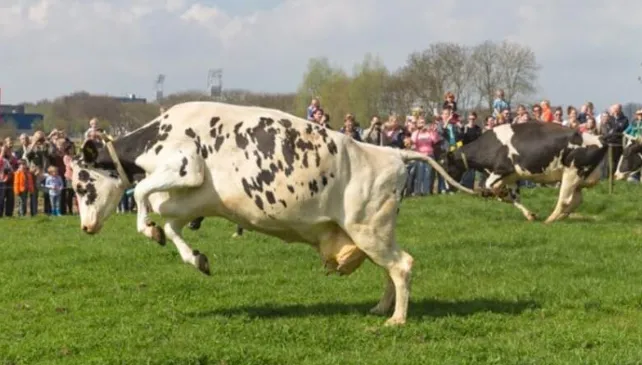 schermafbeelding 2025 03 29 094234