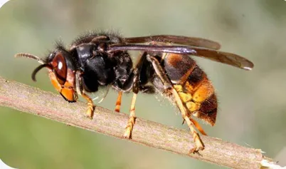 schermafbeelding 2025 03 31 141153