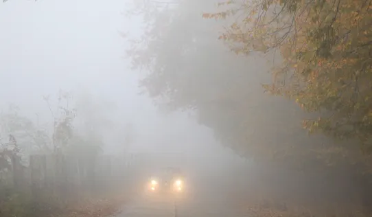 schermafbeelding 2025 04 01 064030