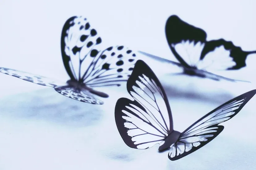 schermafbeelding 2025 04 23 091312