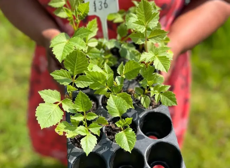 schermafbeelding 2025 05 05 173910