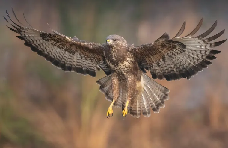 schermafbeelding 2025 05 15 144322